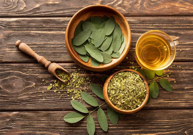 Tanaman Herbal Yang Bisa Ditanam Di Rumah