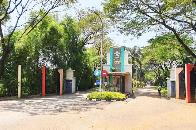 kalindo land - Gerbang Belakang